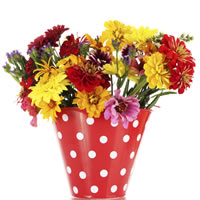 Bucket o' Mums
