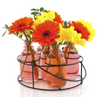 Gerbera and Freesia